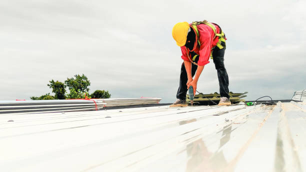 Best Emergency Roof Repair Services  in La Villa, TX