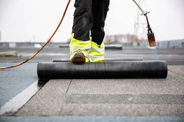 Roof Insulation in La Villa, TX